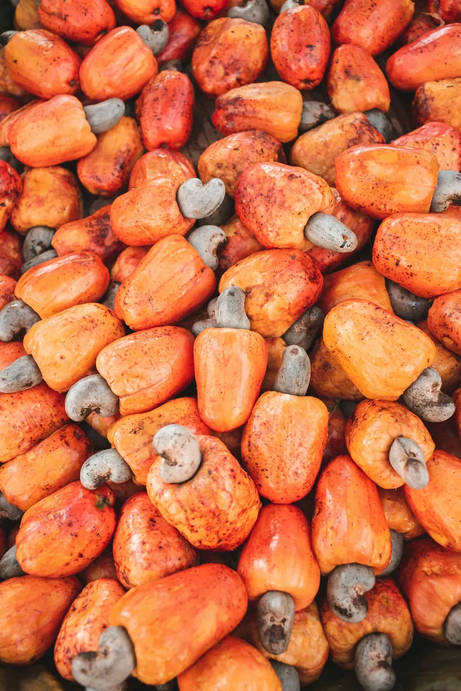 Cashew apples and nuts — Natura Agrobrand