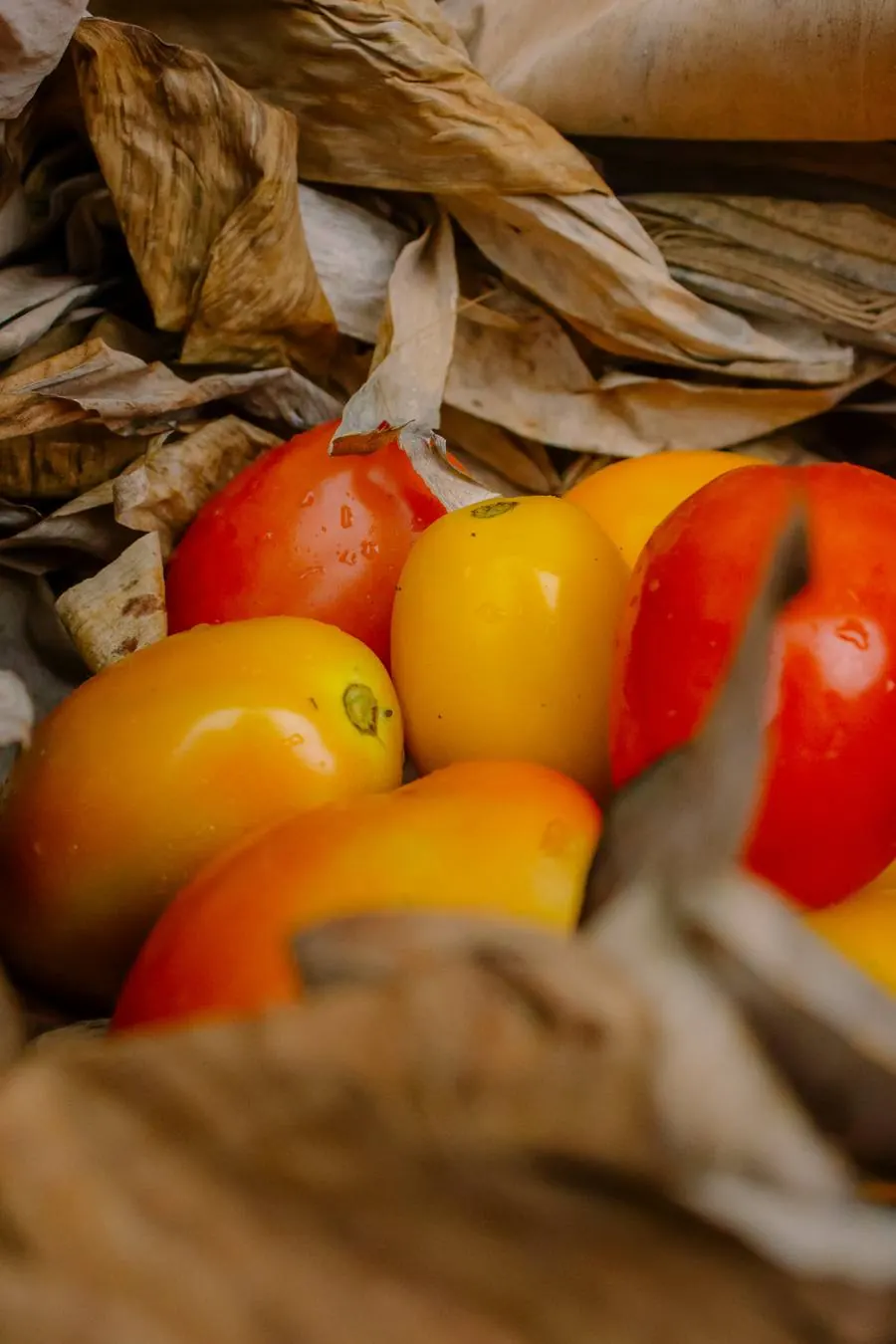 Fresh Vegetables — Natura Agrobrand